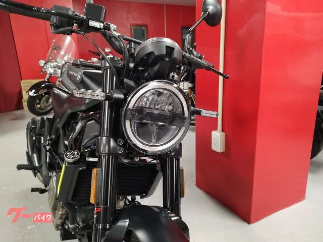 HUSQVARNA 250 2023 — миниатюра 3