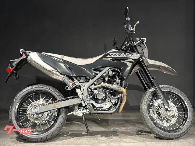 Kawasaki KLX230SM MY2025 2025 — миниатюра 2