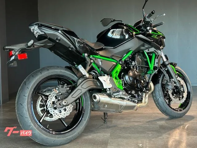 Kawasaki Z650 MY2025 2025 — миниатюра 5