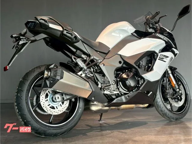Kawasaki Ninja 1100 SX MY2025 2025 — миниатюра 5