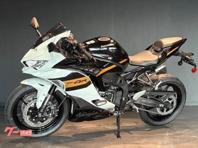 Kawasaki Ninja ZX-4R SE MY2026 2026 — миниатюра 4