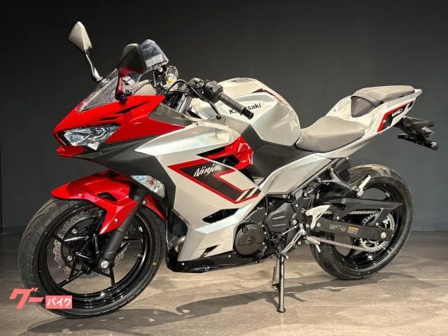 Kawasaki Ninja 250 MY2026 2026 — миниатюра 4