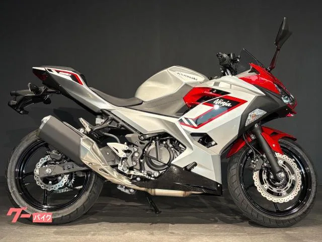 Kawasaki Ninja 250 MY2026 2026 — миниатюра 5