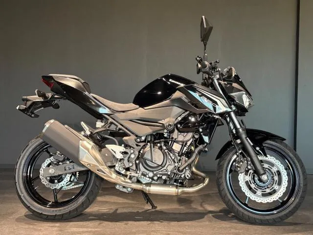 Kawasaki Z250 MY2026 2026 — миниатюра 2