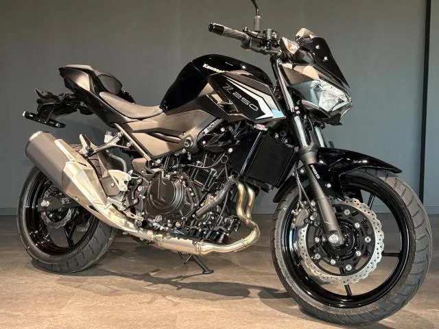 Kawasaki Z250 MY2026 2026 — фото 1, купить с доставкой в Москву