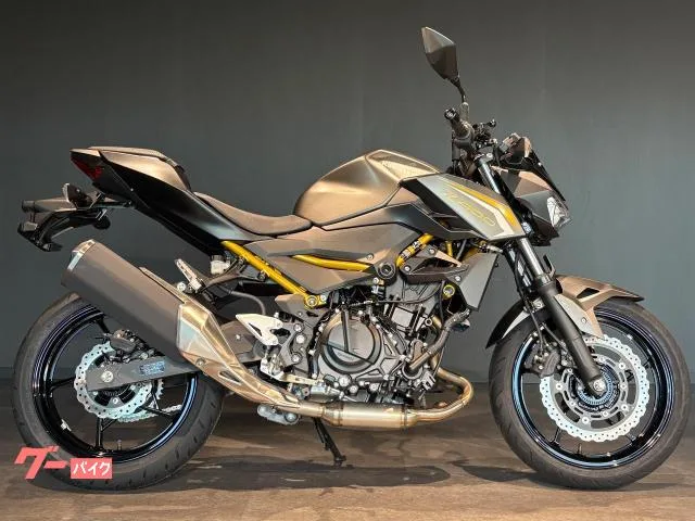 Kawasaki Z400 MY2026 2026 — миниатюра 2