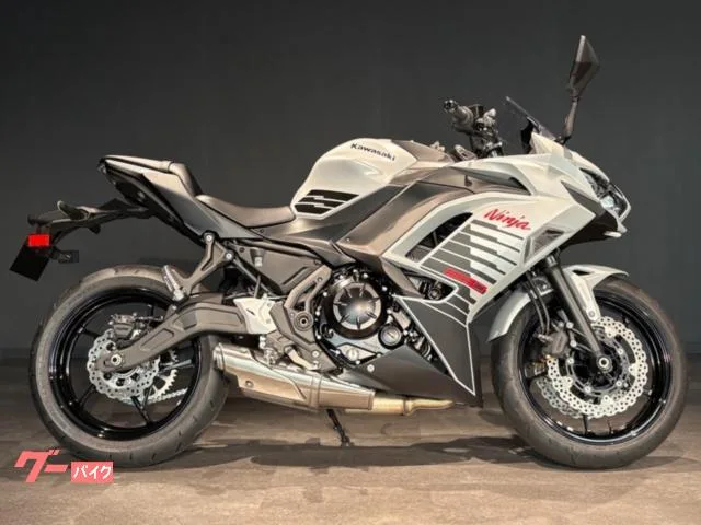 Kawasaki Ninja 650 MY2026 2026 — миниатюра 2