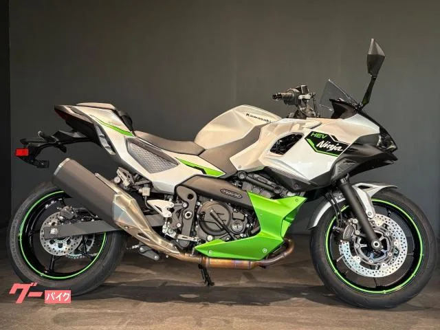 Kawasaki Ninja 7 Hybrid ETC 2024 — миниатюра 5