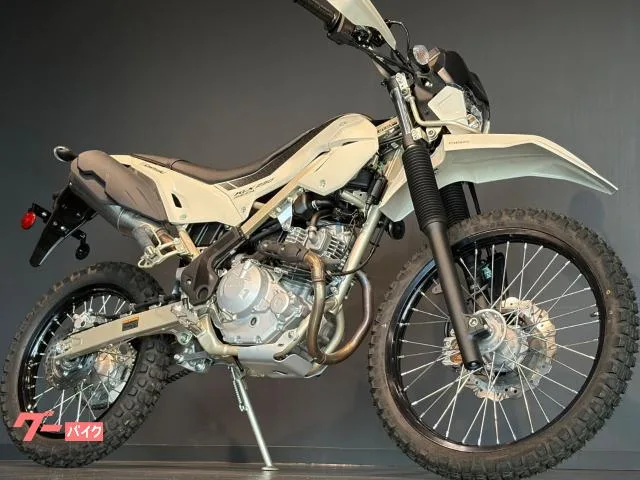Kawasaki KLX230 MY2025 2025 — фото 1, купить с доставкой в Москву