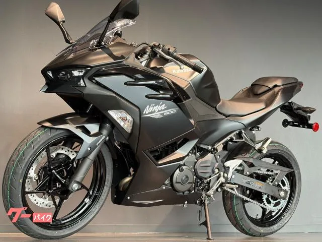 Kawasaki Ninja 500 MY2026 2026 — миниатюра 5