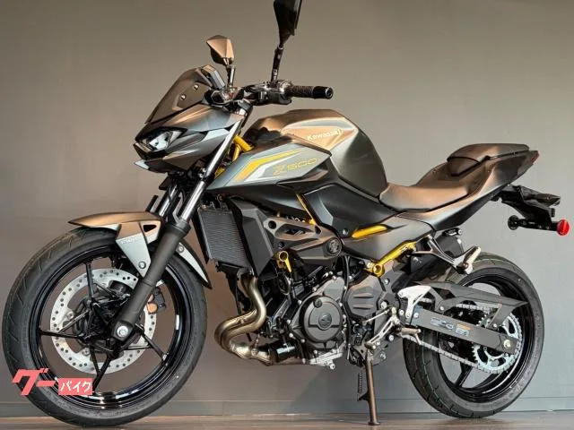 Kawasaki Z500 MY2026 2026 — миниатюра 5