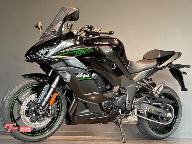 Kawasaki Ninja 1100 SX ETC 2025 — миниатюра 5