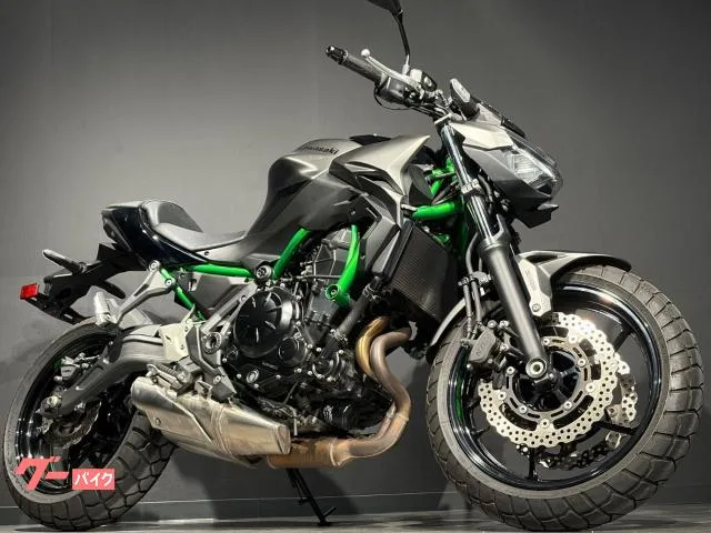 Kawasaki Z650 MY2023 ETC 2023 — фото 1, купить с доставкой в Москву