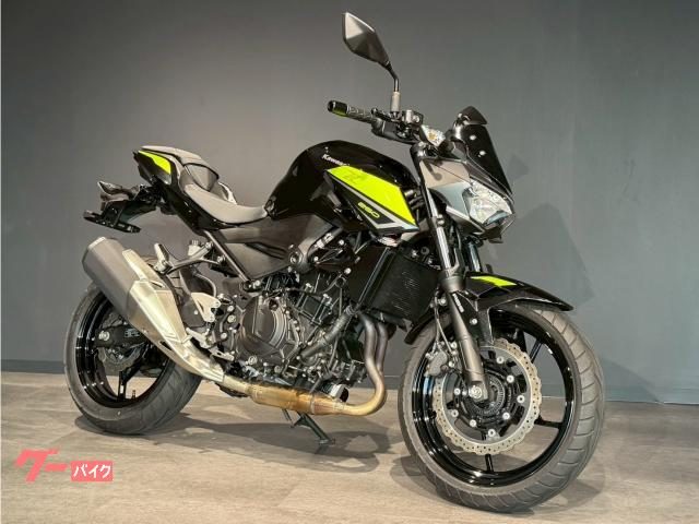Kawasaki Z250 2022