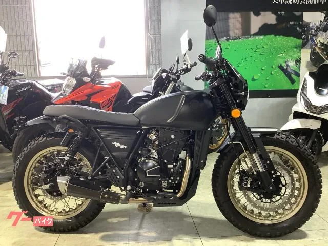 MUTT DRK-01 250 ETC ABS BLACKGOLD 2024 — фото 1, купить с доставкой в Москву