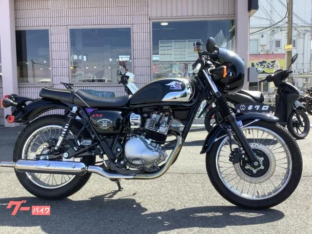 Kawasaki S1 2025 — фото 1, купить с доставкой в Москву