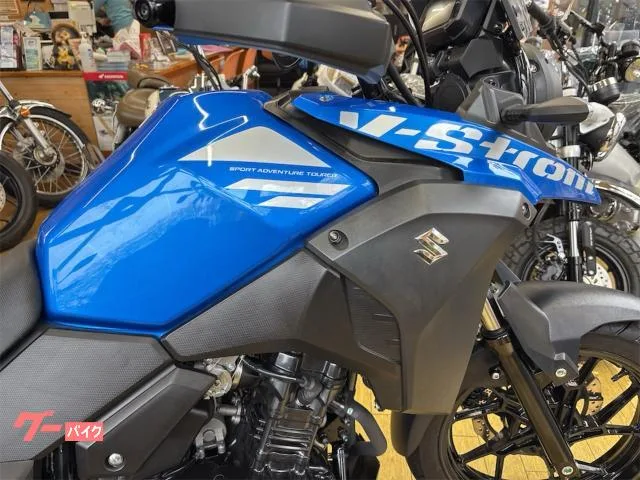 Suzuki V- 250 ETC 2022 — миниатюра 2