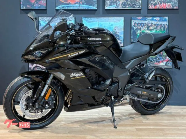 Kawasaki Ninja 1100 SX MY2026 ETC2.0 USB 2026 — миниатюра 2
