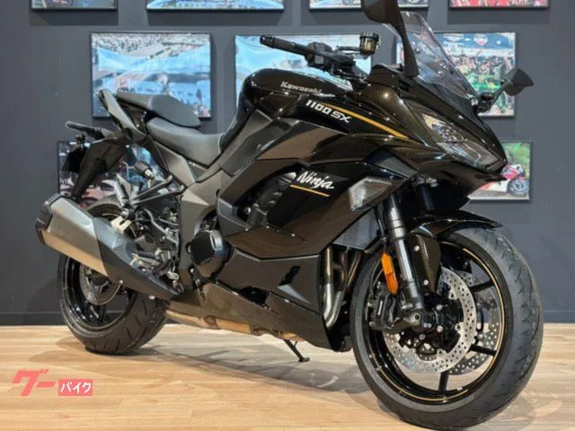 Kawasaki Ninja 1100 SX MY2026 ETC2.0 USB 2026 — фото 1, купить с доставкой в Москву