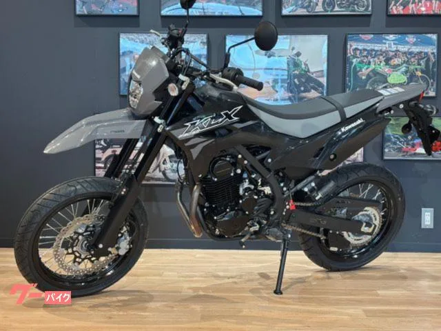 Kawasaki KLX230SM MY2026 2026 — миниатюра 2