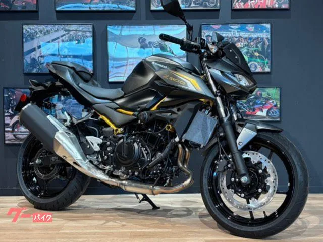 Kawasaki Z500 MY2026 / 2026 — фото 1, купить с доставкой в Москву