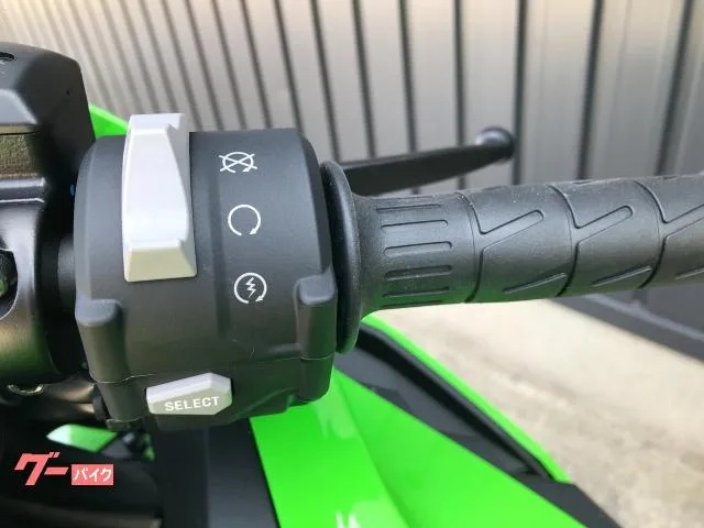 Kawasaki ZX-4RR 2026 — миниатюра 2