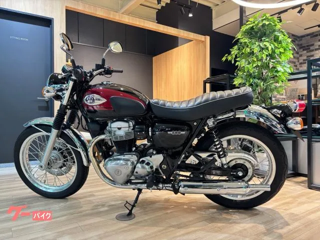 Kawasaki W800 2024 — миниатюра 2