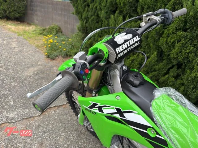 Kawasaki KX250 2025 — миниатюра 2