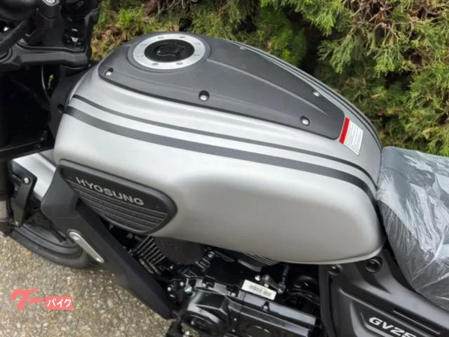 HYOSUNG GV250DRA V 2024 — миниатюра 3