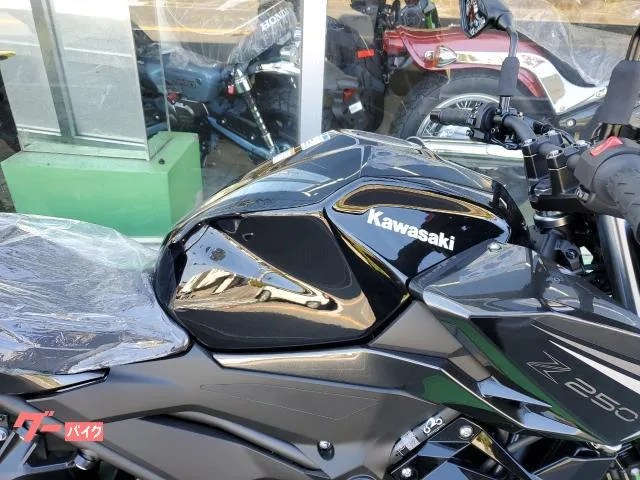 Kawasaki Z250 ABS LED 2026 — миниатюра 2