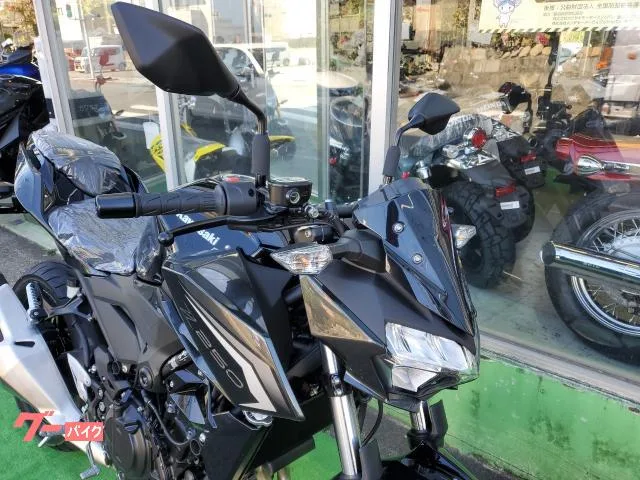 Kawasaki Z250 ABS LED 2026 — миниатюра 3