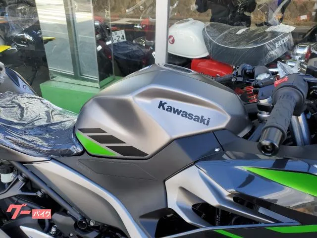 Kawasaki Ninja 400 2026 — миниатюра 5