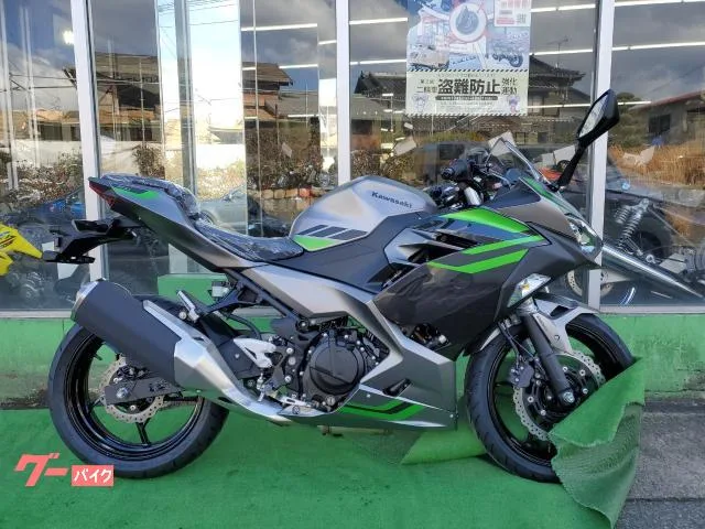 Kawasaki Ninja 400 2026 — фото 1, купить с доставкой в Москву