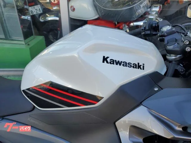 Kawasaki Ninja 400 ABS 42 2024 — миниатюра 2