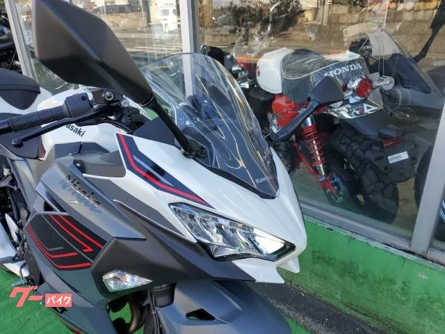 Kawasaki Ninja 400 ABS 42 2024 — миниатюра 3