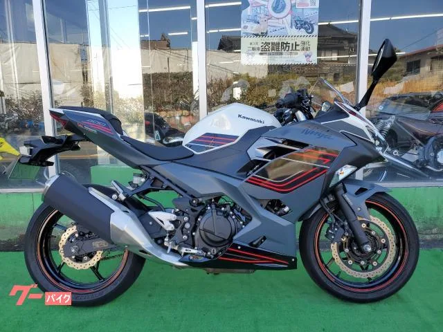 Kawasaki Ninja 400 ABS 42 2024 — фото 1, купить с доставкой в Москву