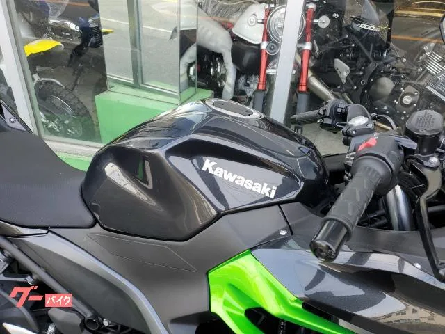 Kawasaki Ninja 250 2023 — миниатюра 2