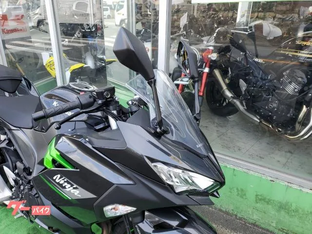 Kawasaki Ninja 250 2023 — миниатюра 3