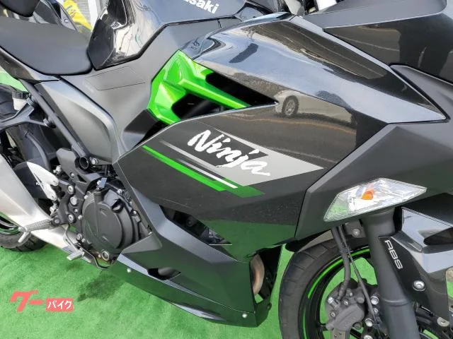 Kawasaki Ninja 250 2023 — миниатюра 4