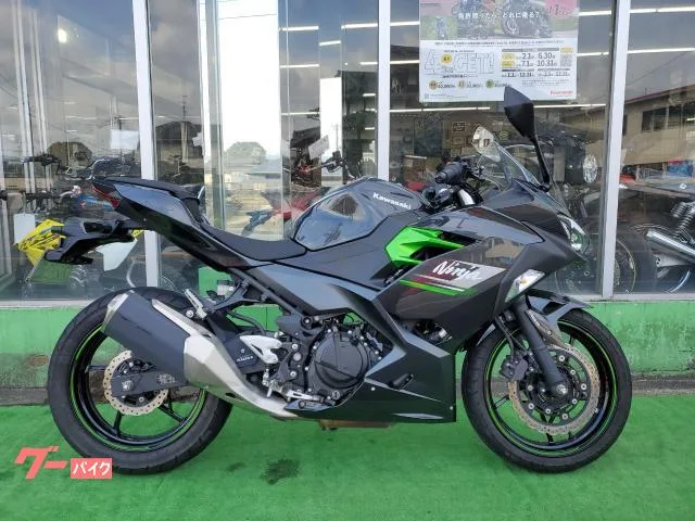 Kawasaki Ninja 250 2023 — фото 1, купить с доставкой в Москву