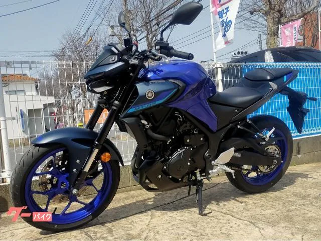 Yamaha MT-03(320cc) USB 2022 — миниатюра 4