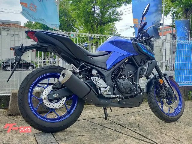 Yamaha MT-25 2022 — миниатюра 2