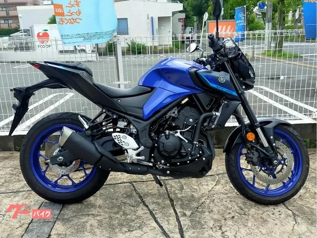 Yamaha MT-25 2022 — фото 1, купить с доставкой в Москву