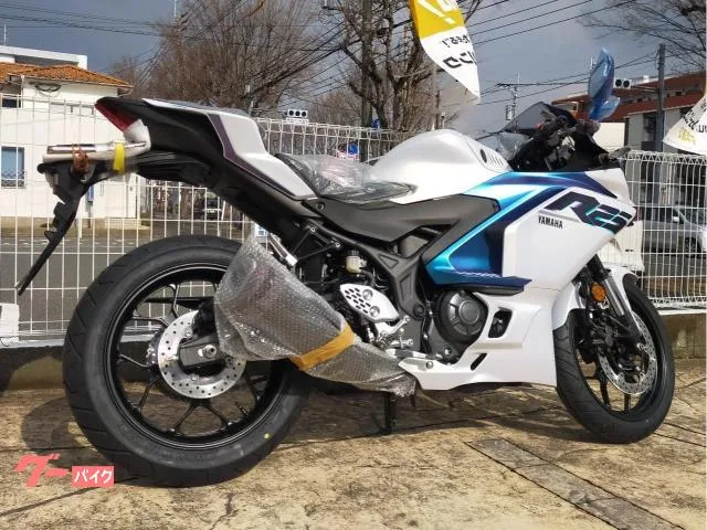 Yamaha YZF-R25 25 2025 — миниатюра 2