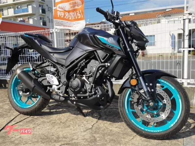 Yamaha MT-25 2024 — миниатюра 3