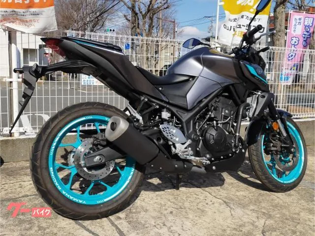 Yamaha MT-25 2024 — миниатюра 5