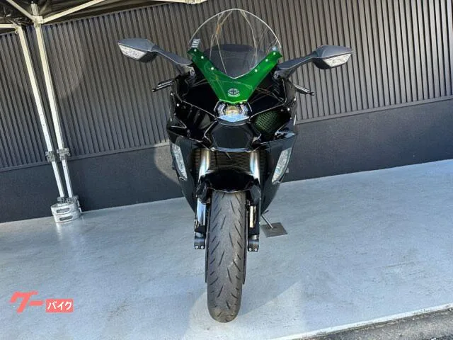Kawasaki Ninja H2 SX SE ETC 2022 — миниатюра 2