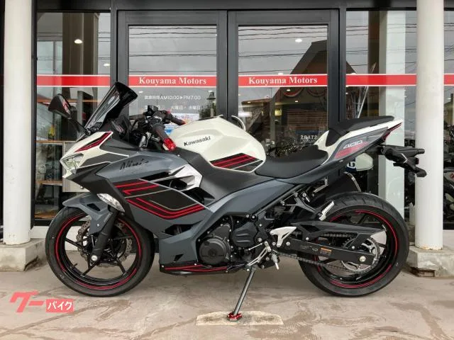 Kawasaki Ninja 400 ETC 2024 — миниатюра 2