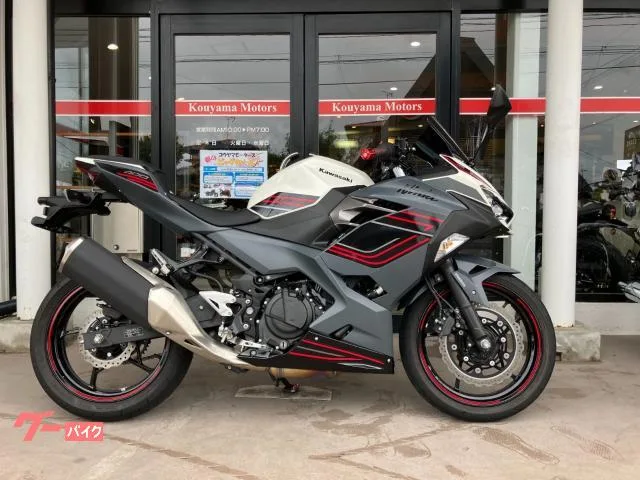 Kawasaki Ninja 400 ETC 2024 — фото 1, купить с доставкой в Москву
