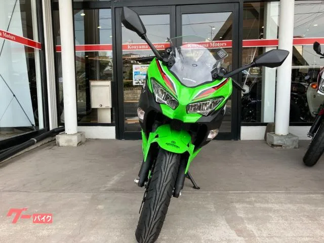 Kawasaki Ninja 250 2023 — миниатюра 2